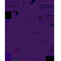 Ӣ�� ����ķvsɣ����20251122