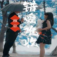 ���ܴ�������