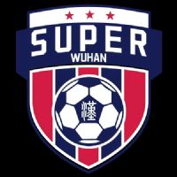 �人�������򳬼�������У���2�� �人������ѧ1.0�人��ѧ20251009