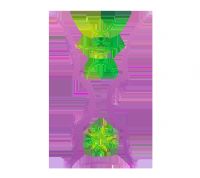 �������ޱ� Լ��vsӡ��20250805