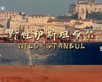 Ұ����˹̹��������