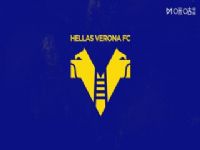 ������� ������VSά���� 20251129